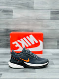 Nke air zoom Pegasus titan